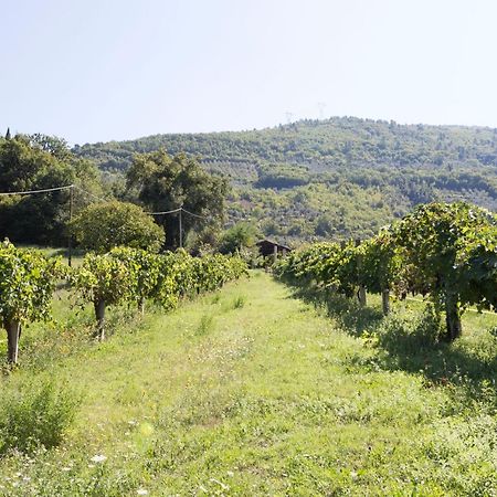 Agriturismo I Melograni Ferentillo Buitenkant foto