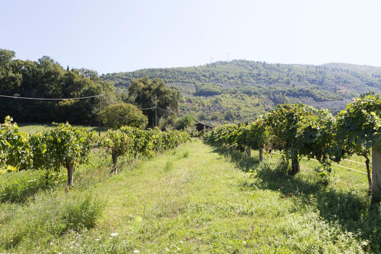 Agriturismo I Melograni Ferentillo Buitenkant foto